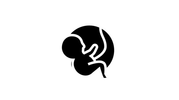 Grossesse embryon glyphe icône animation — Video