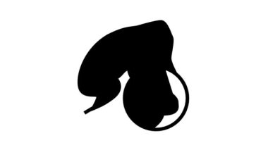 Tavşan eti leşi çizgi simgesi canlandırması