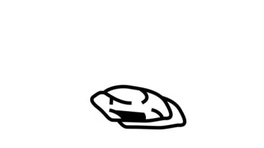 Kurutulmuş et hattı simgesi canlandırması