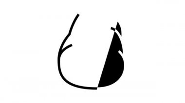 kıvrımlı tırnak çizgisi simgesi canlandırması