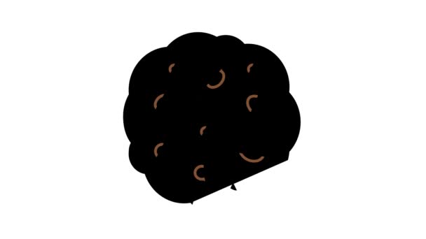 Cookie owsianka kolor ikona animacja — Wideo stockowe