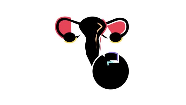 Uterus medical laser treatment color icon animation — Stock Video