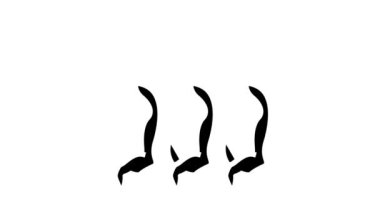 Kesilmiş hayvan leşleri ambarda asılıdır.