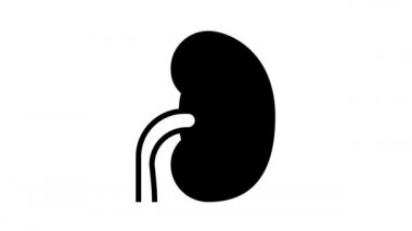 nephritis böbrek hattı simgesi canlandırması