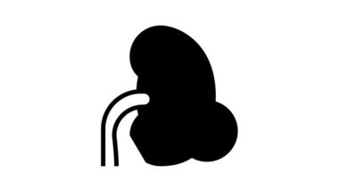 enfeksiyon böbrek çizgisi simgesi canlandırması