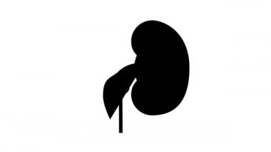 nephritic sendrom çizgi canlandırması