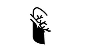 kistik fibrozis solunum hastalığı çizgi simgesi canlandırması