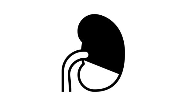 Ohälsosam njure linje ikon animation — Stockvideo