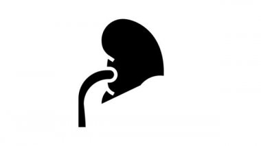 enfeksiyon böbrek simgesi canlandırması