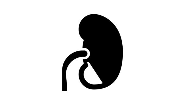 Animazione icona del glifo renale malsana — Video Stock