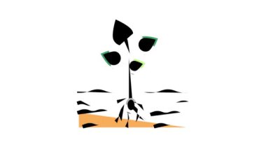 Harita Konum Sistemi renk canlandırması