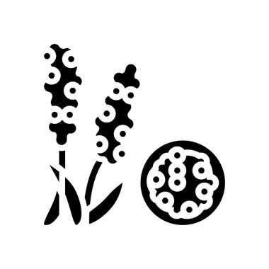 chumiz groat glyph ikon vektör çizimi