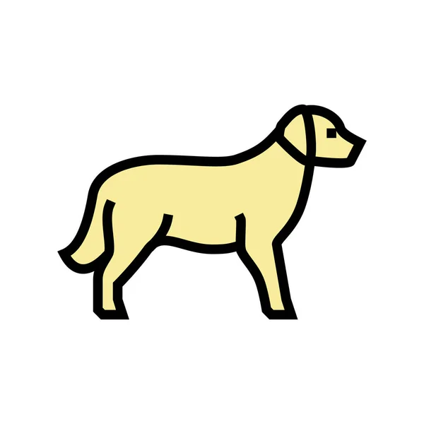 Golden retriever perro icono de color vector ilustración — Vector de stock