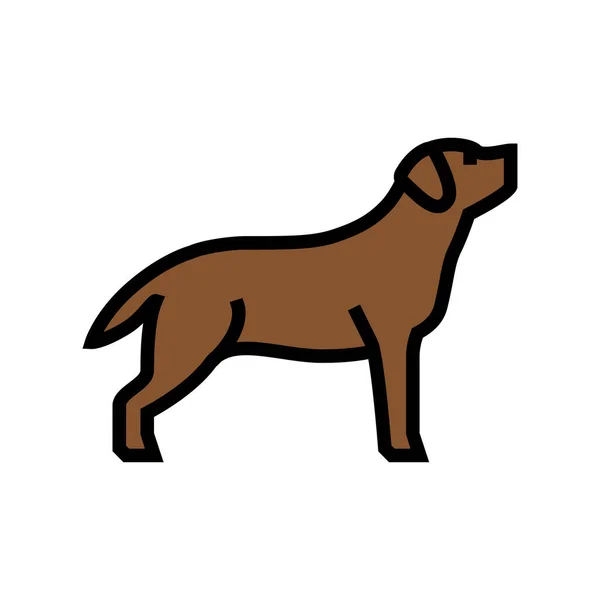 Labrador retrívr pes barva ikona vektor ilustrace — Stockový vektor
