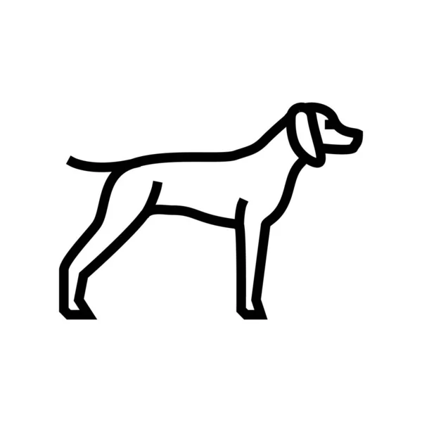 German's shrothled pointer dog line icon vector illustration — стоковий вектор