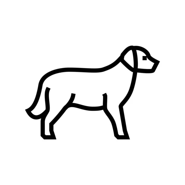 Golden Retriever Hund Linie Symbol Vektor Illustration — Stockvektor