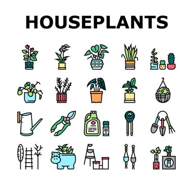 Ev Bitkisi Mağazası Satış Koleksiyonu Simgeleri Vektörü Ayarla