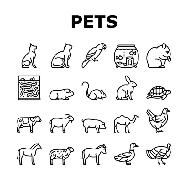 Haustiere Haustiere Sammlung Symbole Set Vektor — Stockvektor