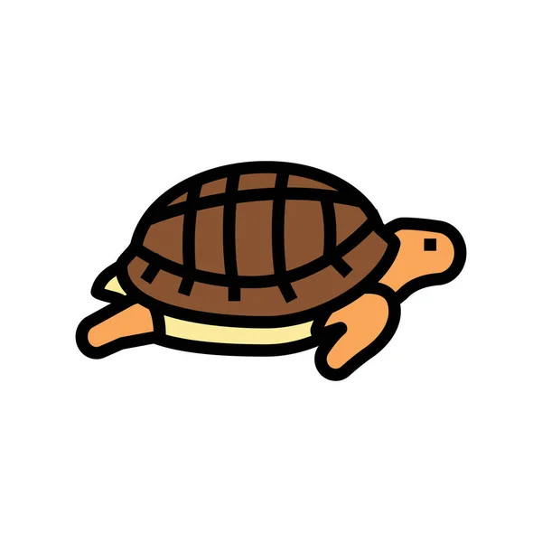Schildkröte Haustier Farbe Symbol Vektor Illustration — Stockvektor