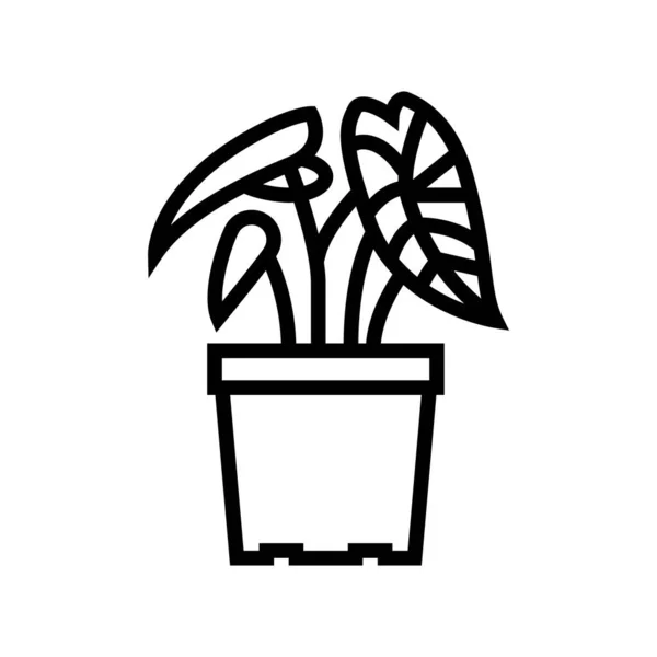 Línea de planta tropical icono vector ilustración — Archivo Imágenes Vectoriales