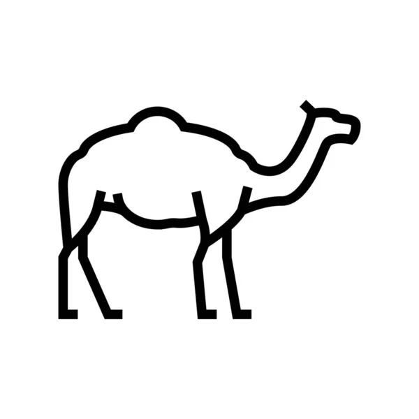 Kamel Tier Linie Symbol Vektor Illustration — Stockvektor