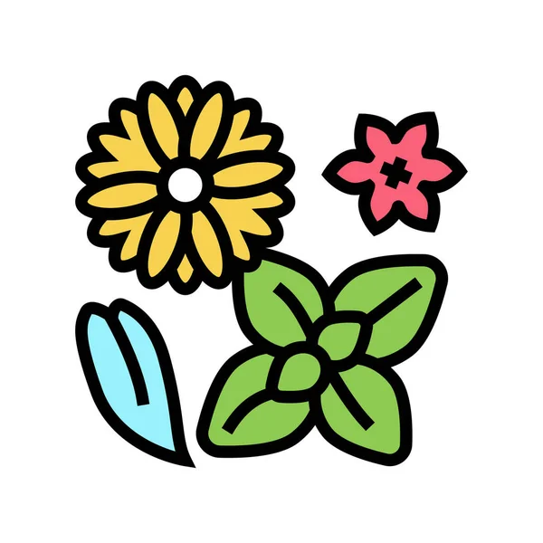 Blumen Phytotherapie Farbe Symbol Vektor Illustration — Stockvektor