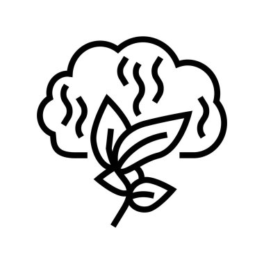 aroma bitkisi fitoterapi hattı ikon vektör çizimi