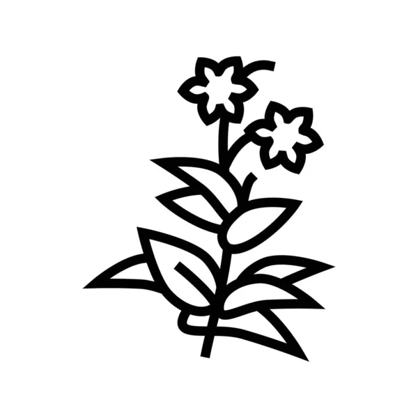 Flor planta fitoterapia linha ícone vetor ilustração —  Vetores de Stock