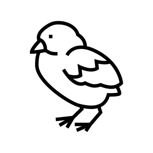 Chick Bird Line Icon Vektor Küken Vogel Zeichen Isolierte Kontur — Stockvektor