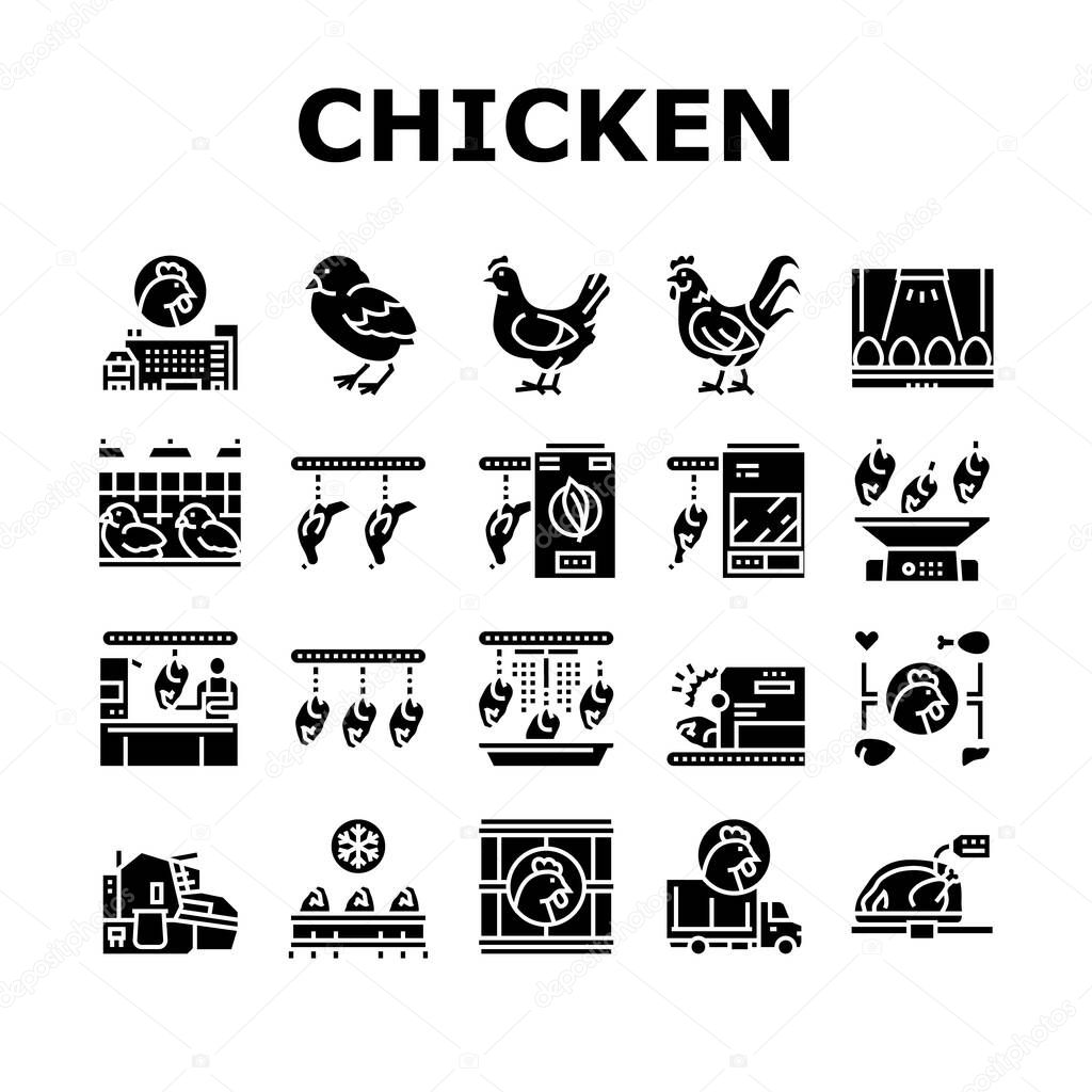 Chicken Meat Factory Collection Icons Set Vector. Chicken Feather Pluck And Washing Machine, Conveyor And Refrigerator For Frozen Carcass Glyph Pictograms Black Illustrations