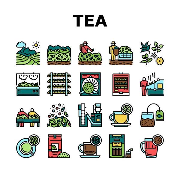 Set di icone per la produzione di bevande da tè vettoriale — Vettoriale Stock