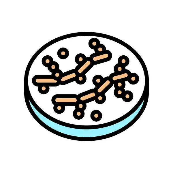 Candida bacteriën kleur pictogram vector illustratie — Stockvector