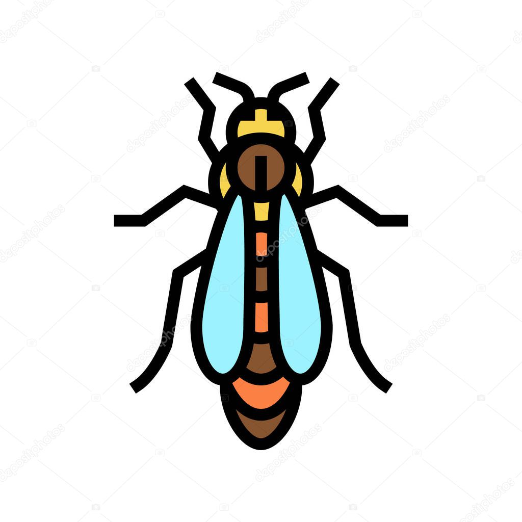 bee queen beekeeping color icon vector illustration