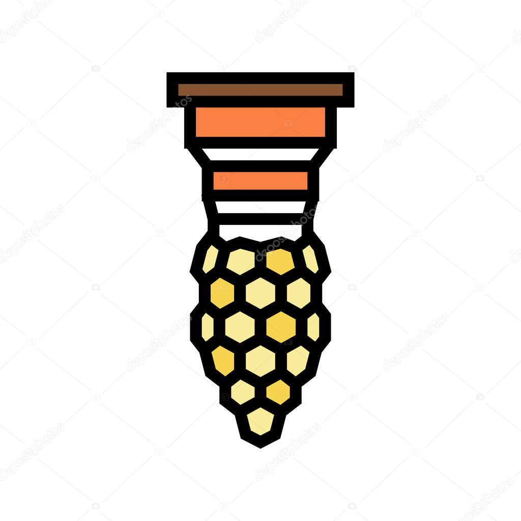 bee queen production beekeeping color icon vector illustration
