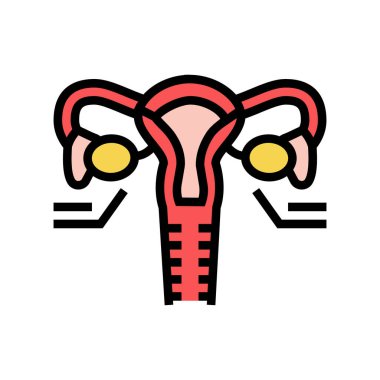 yumurtalıklar endokrinoloji renk ikonu çizimi