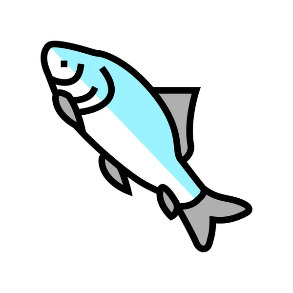 Catla catla rybí barva ikona vektorové ilustrace — Stockový vektor