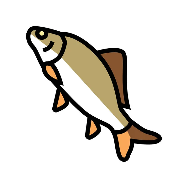 Crucian carp color icon vector illustration — Stock Vector