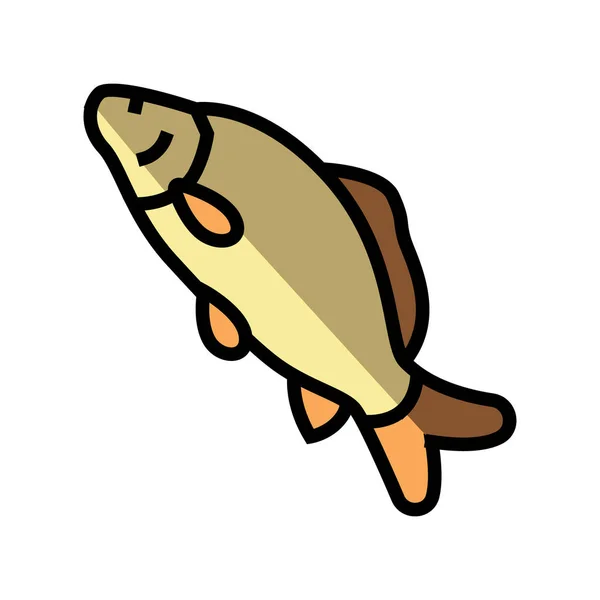 Common carp color icon vector illustration — Stock Vector