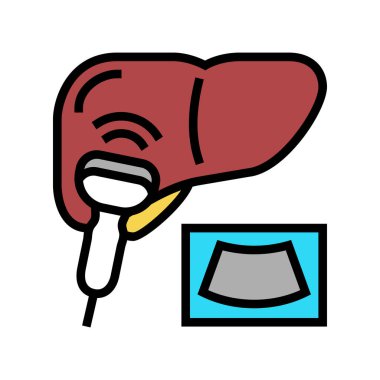 ultrason karaciğer renk vektör çizimi