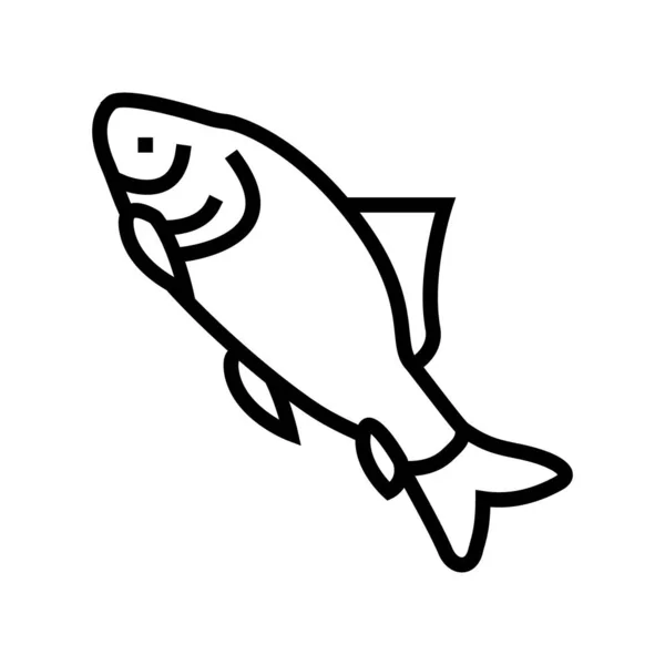 Catla catla peces línea icono vector ilustración — Vector de stock