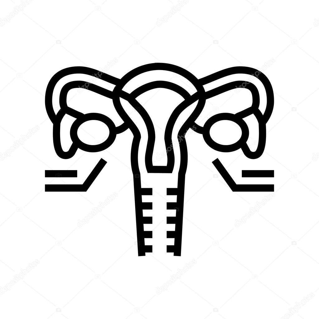 ovaries endocrinology line icon vector illustration