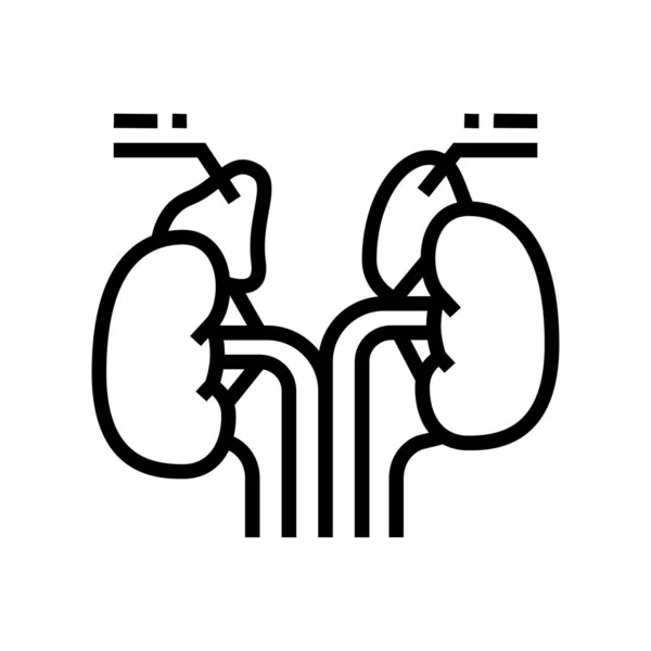 Adrenais endocrinologia linha ícone vetor ilustração — Vetor de Stock