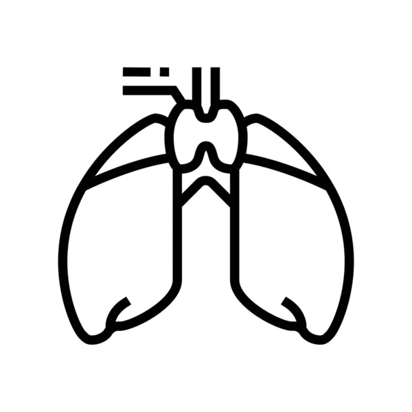 Timus endocrinologia linha ícone vetor ilustração — Vetor de Stock