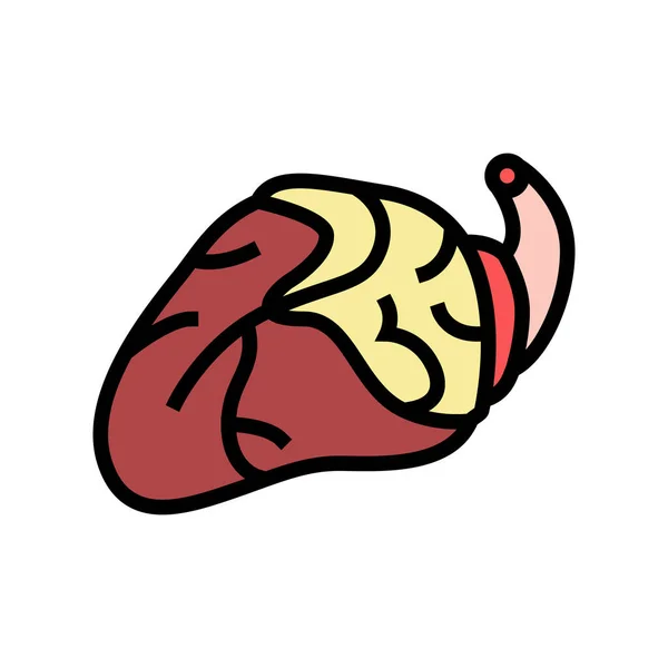 Heart chicken color icon vector illustration — Stock Vector