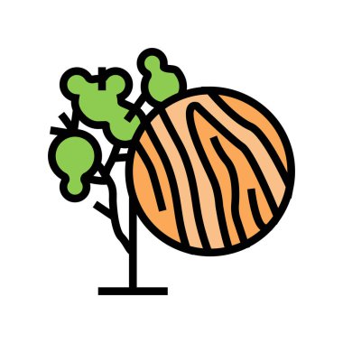 okaliptüs ahşap renk vektör çizimi