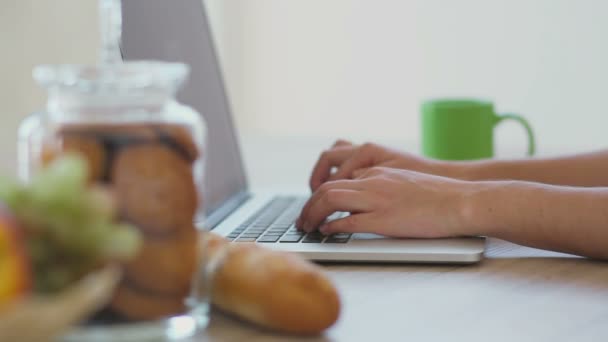 Trabalhando no laptop pela manhã — Vídeo de Stock