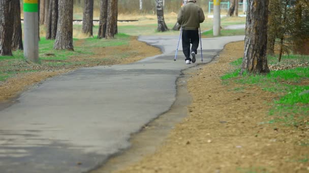Пожилой человек, занимающийся в парке — стоковое видео