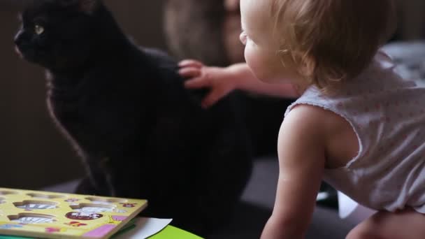 Маленькая девочка гладит кошку — стоковое видео