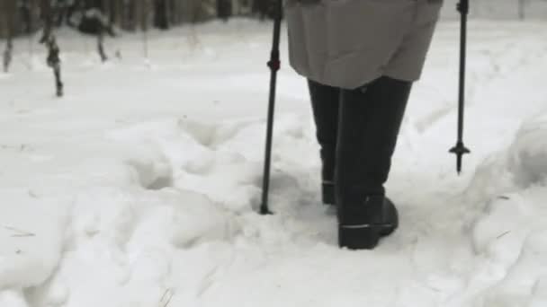 Woman Doing A Nordic Walk in forest — Stock Video