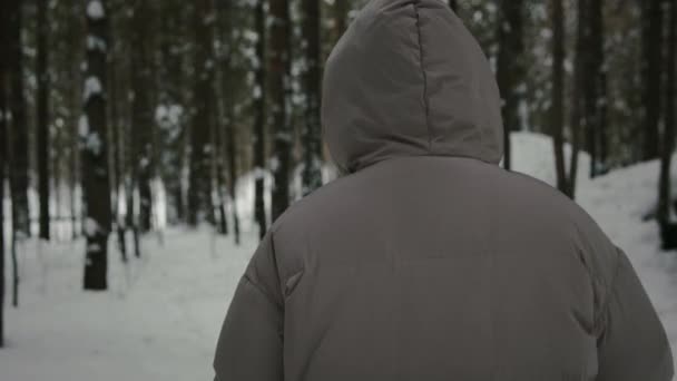 Femme faisant une promenade nordique dans la forêt — Video